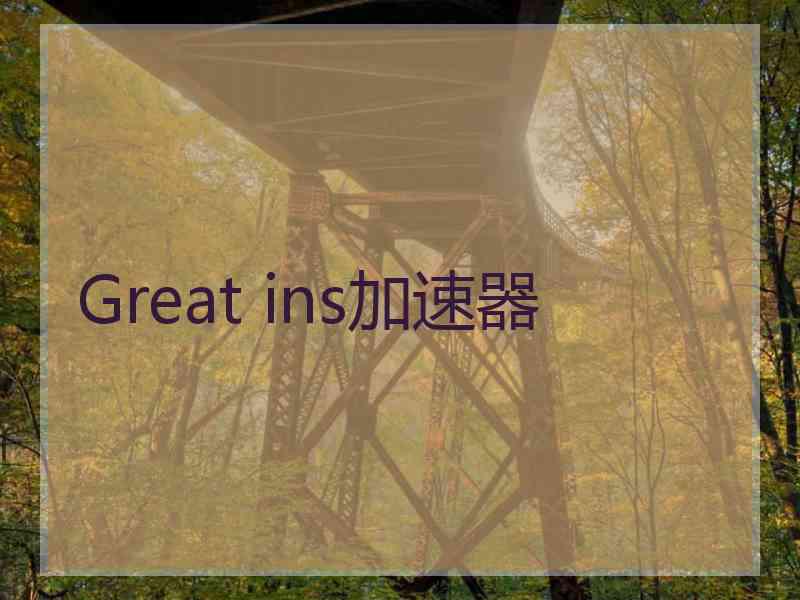 Great ins加速器