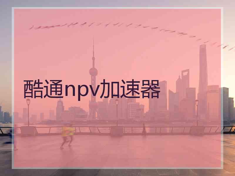 酷通npv加速器