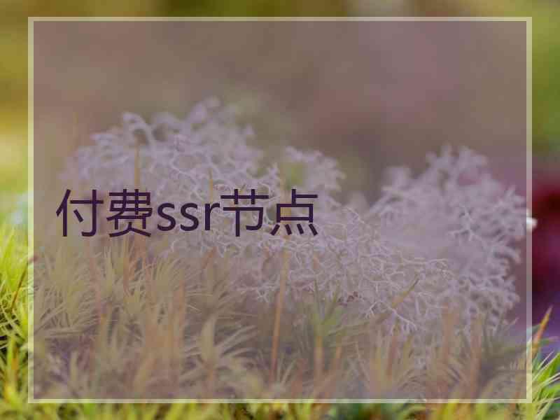 付费ssr节点