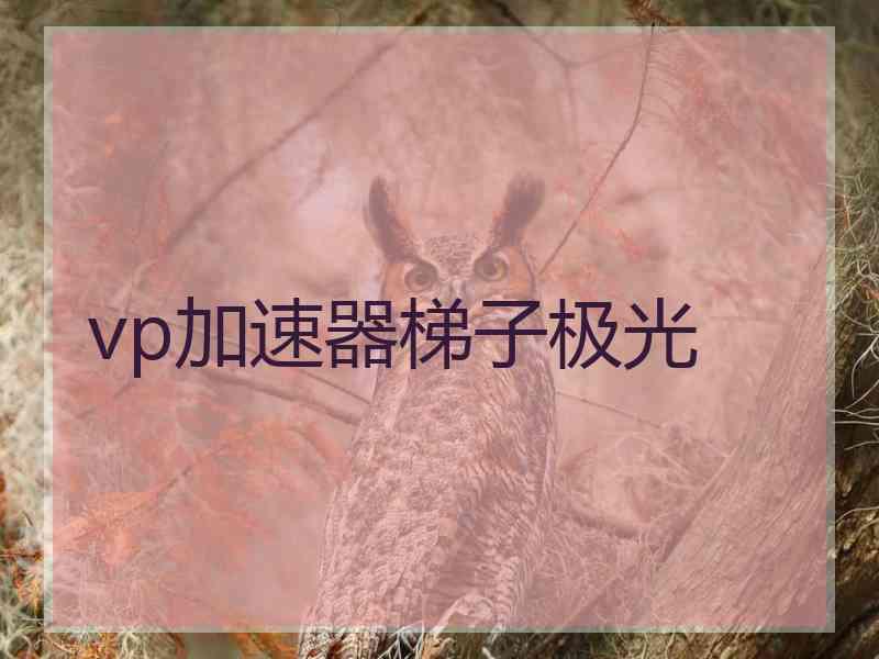 vp加速器梯子极光