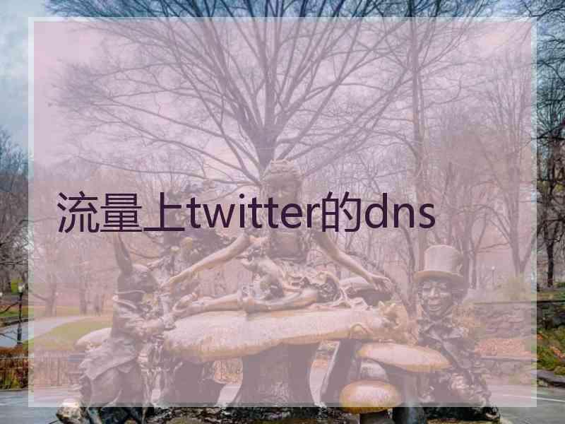 流量上twitter的dns