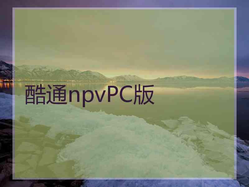 酷通npvPC版