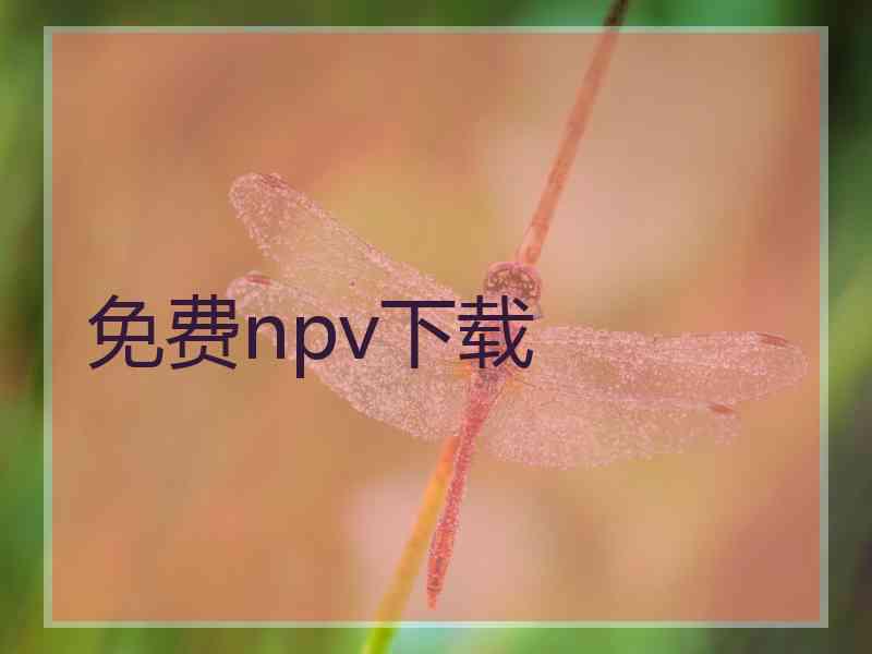 免费npv下载