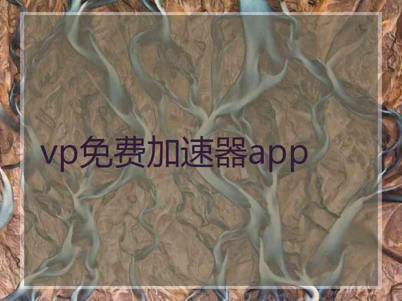 vp免费加速器app