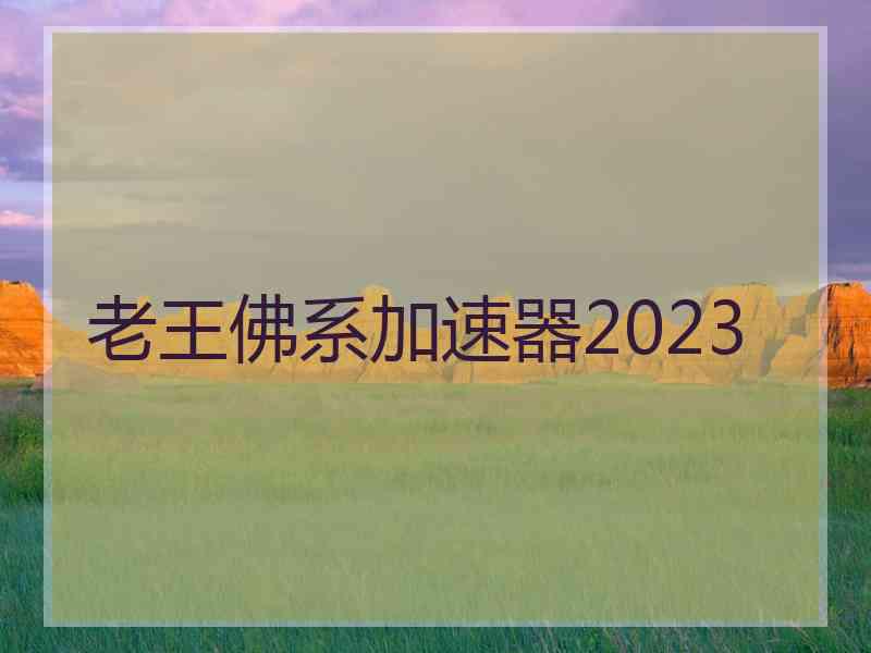 老王佛系加速器2023