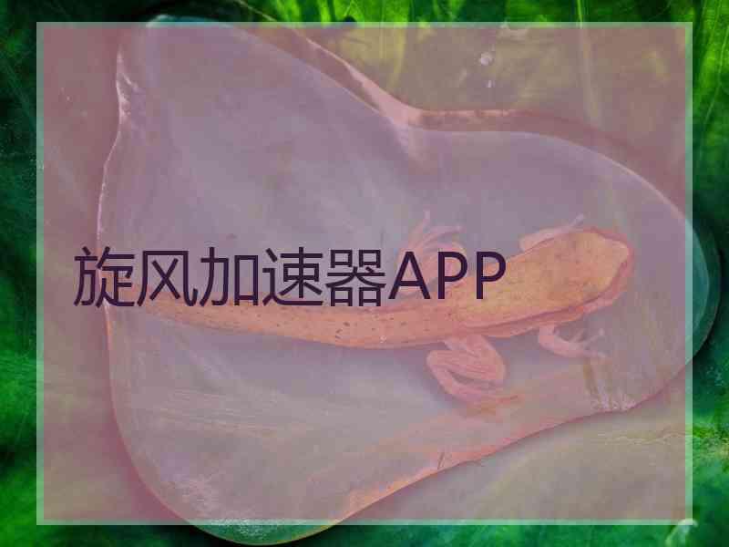 旋风加速器APP