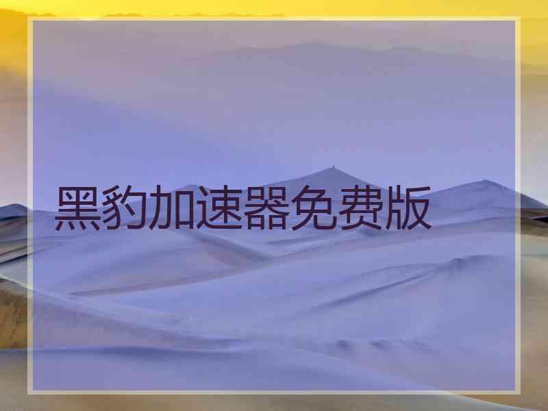 黑豹加速器免费版