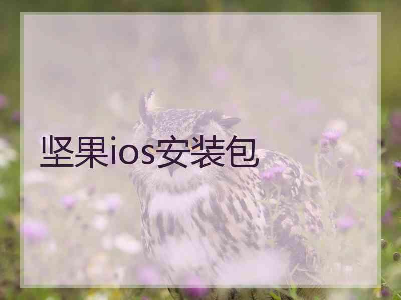 坚果ios安装包