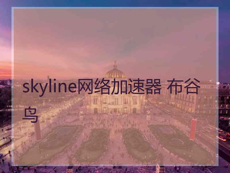 skyline网络加速器 布谷鸟