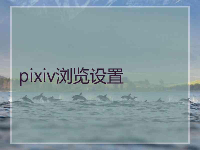 pixiv浏览设置