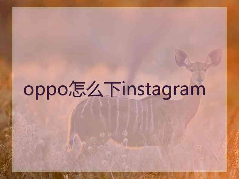 oppo怎么下instagram