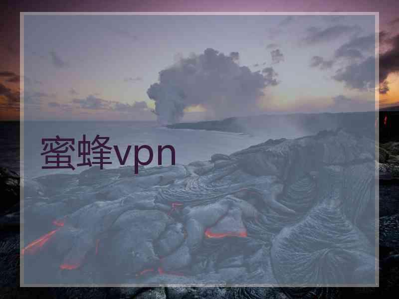 蜜蜂vpn