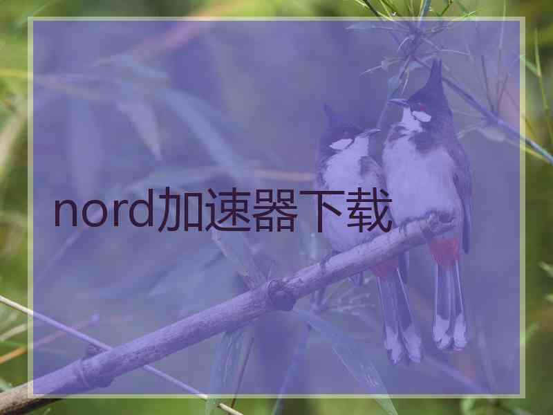 nord加速器下载