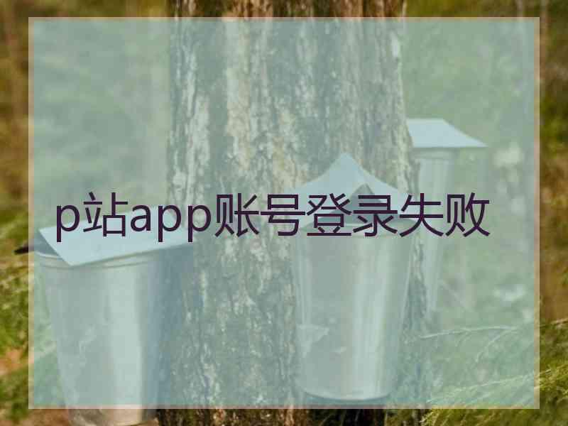 p站app账号登录失败