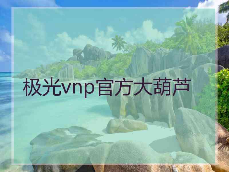 极光vnp官方大葫芦