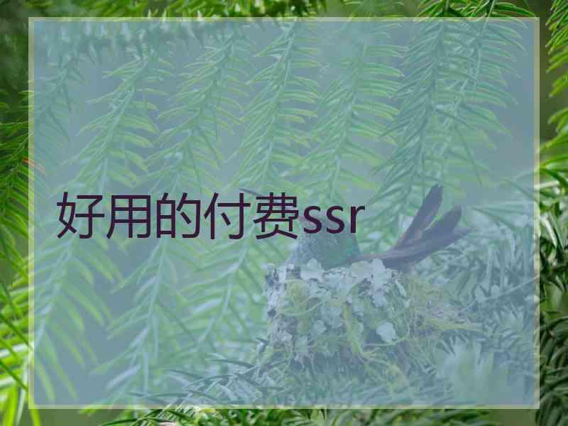 好用的付费ssr