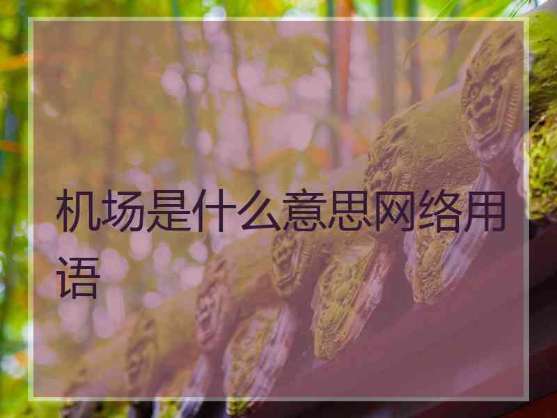 机场是什么意思网络用语