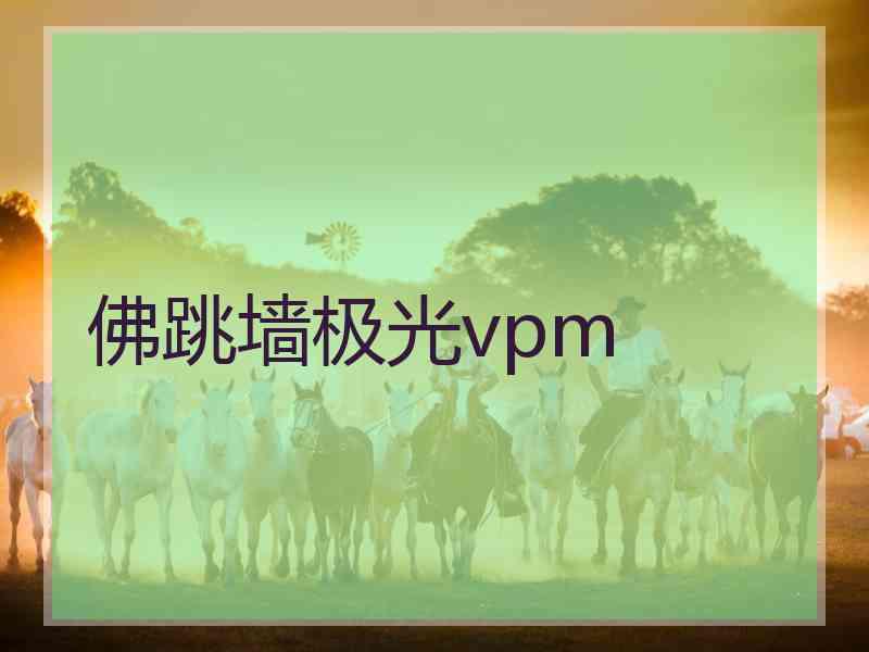 佛跳墙极光vpm