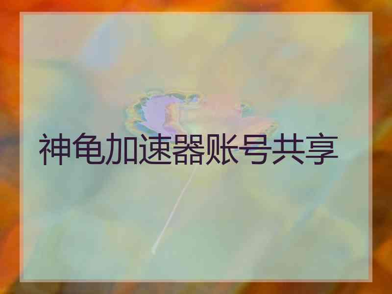 神龟加速器账号共享