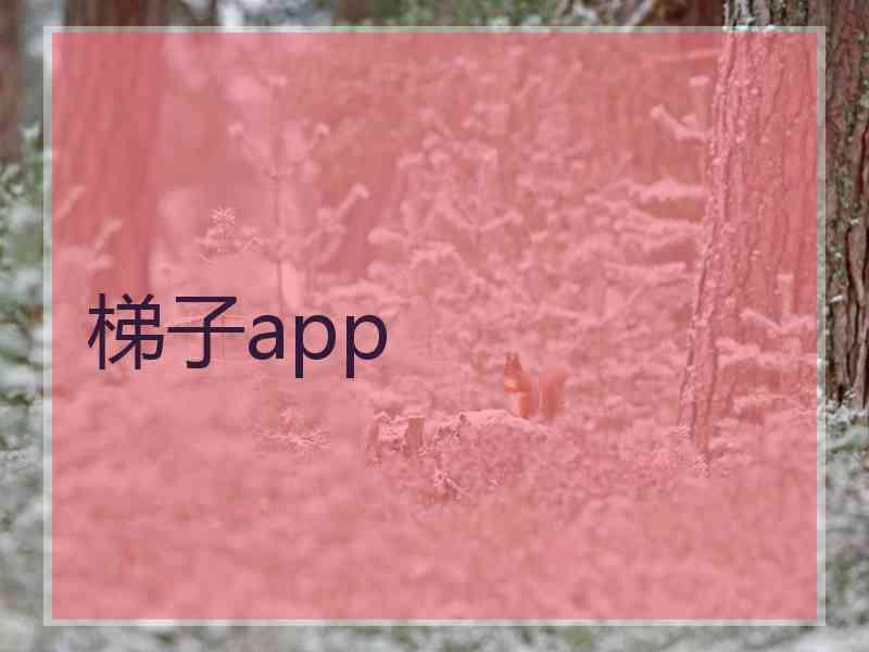 梯子app