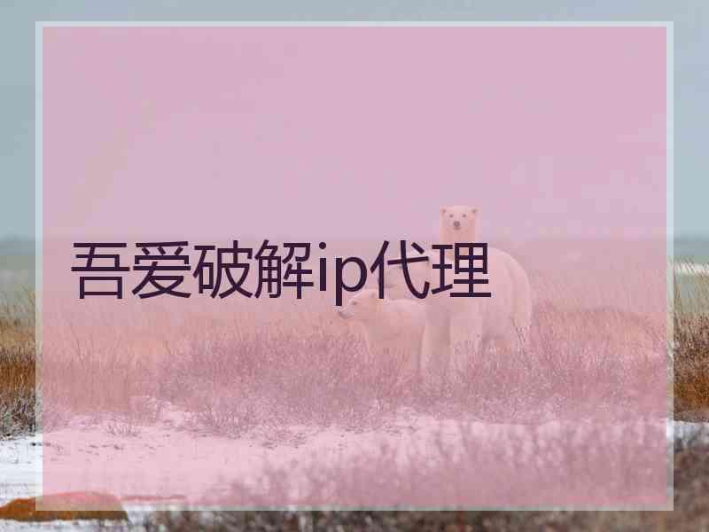 吾爱破解ip代理