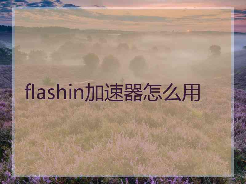 flashin加速器怎么用