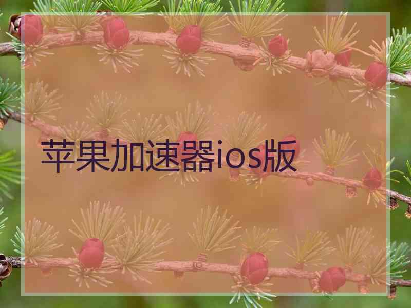 苹果加速器ios版