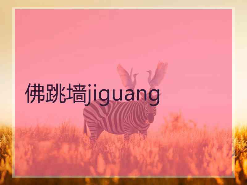 佛跳墙jiguang