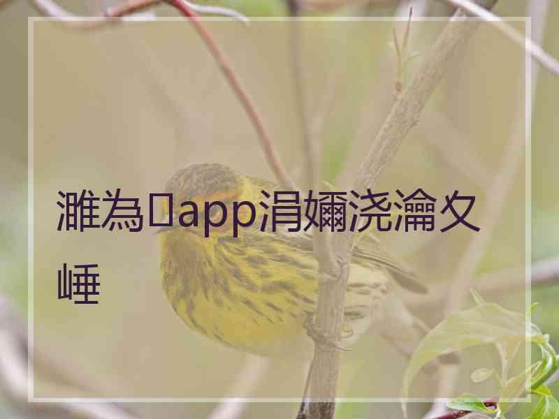 濉為app涓嬭浇瀹夊崜