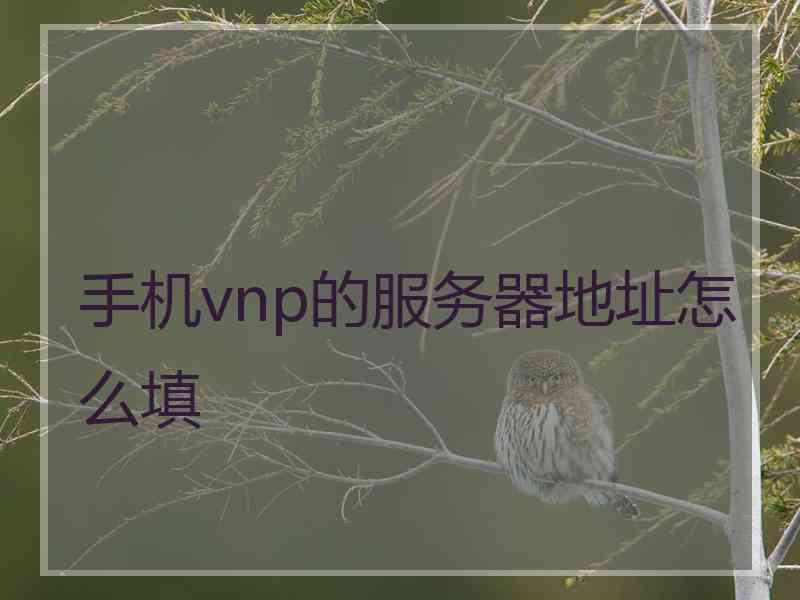 手机vnp的服务器地址怎么填