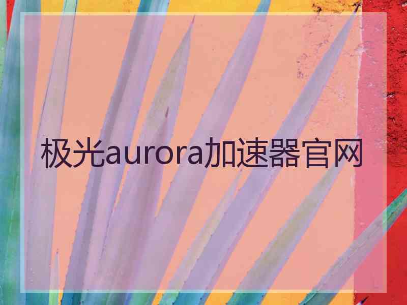 极光aurora加速器官网