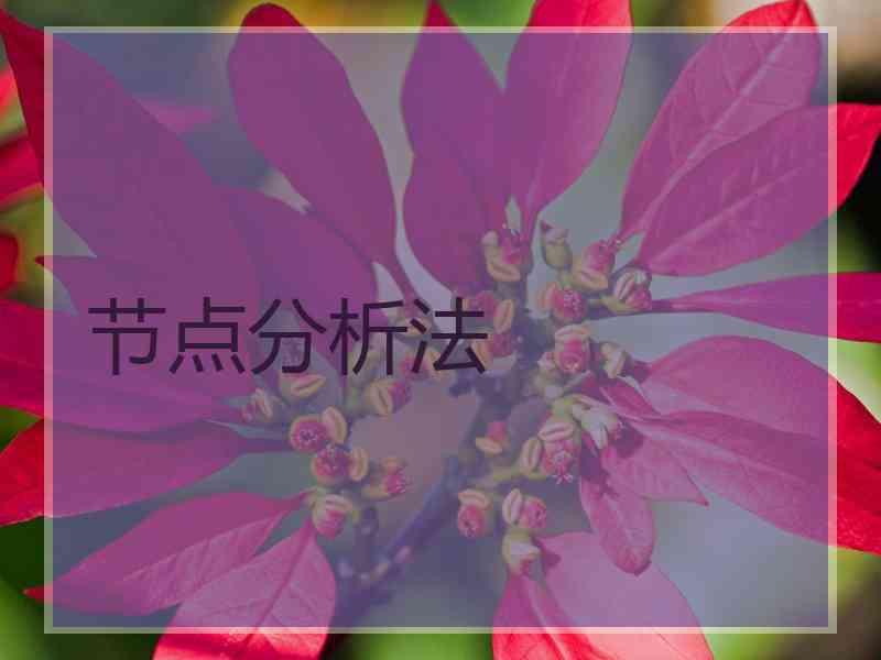 节点分析法