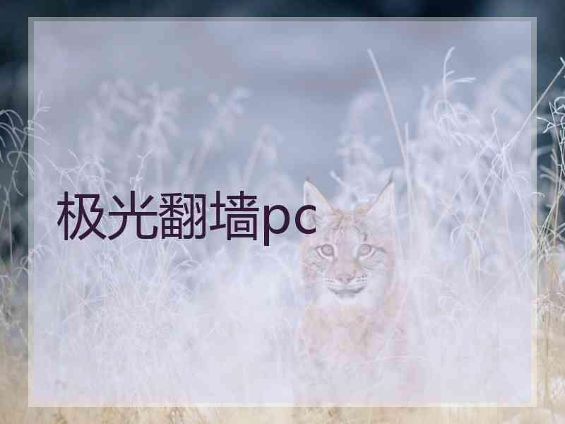 极光翻墙pc