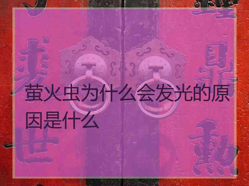 萤火虫为什么会发光的原因是什么