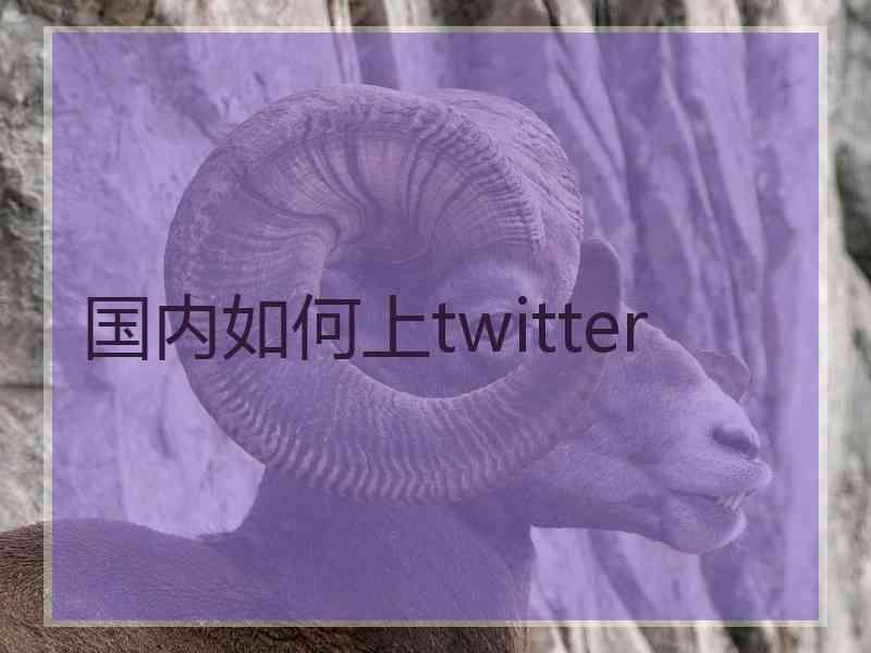 国内如何上twitter