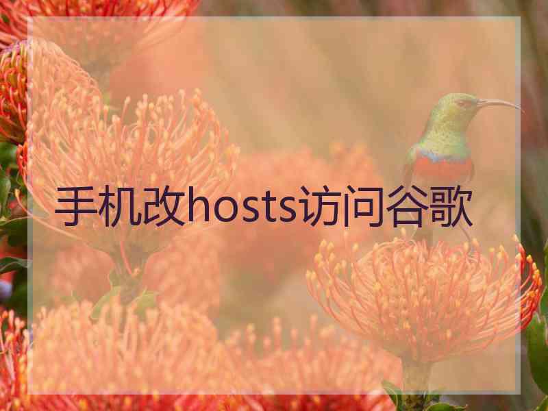 手机改hosts访问谷歌