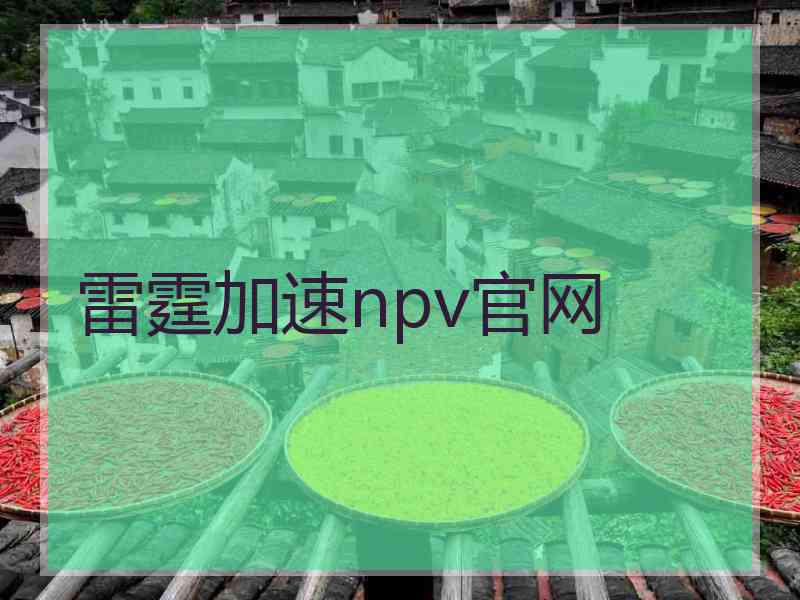 雷霆加速npv官网