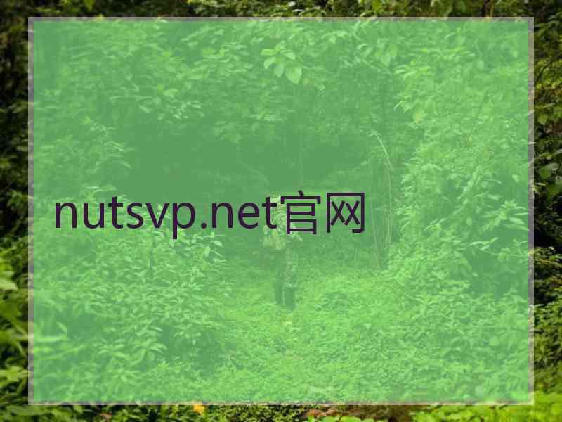 nutsvp.net官网