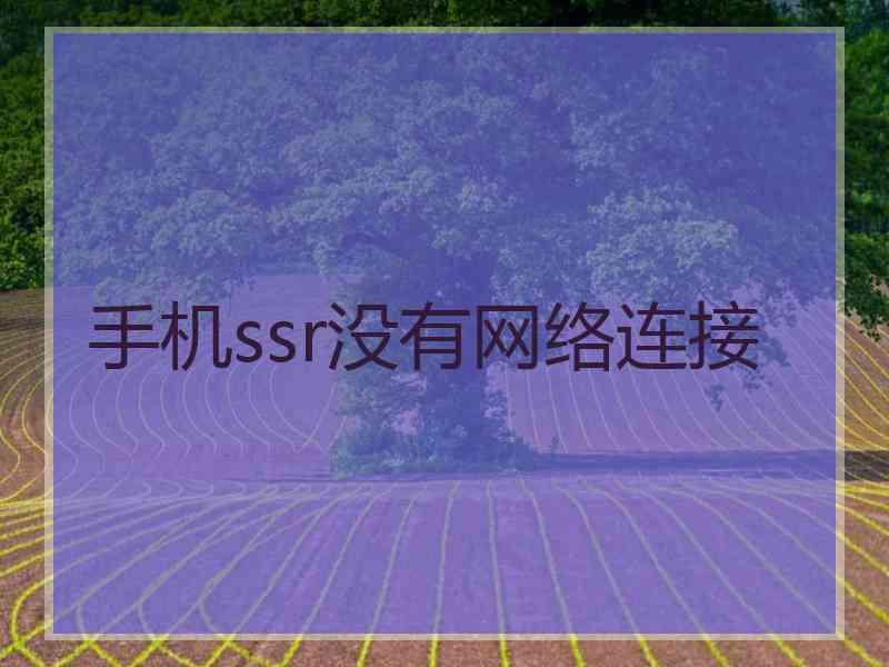 手机ssr没有网络连接