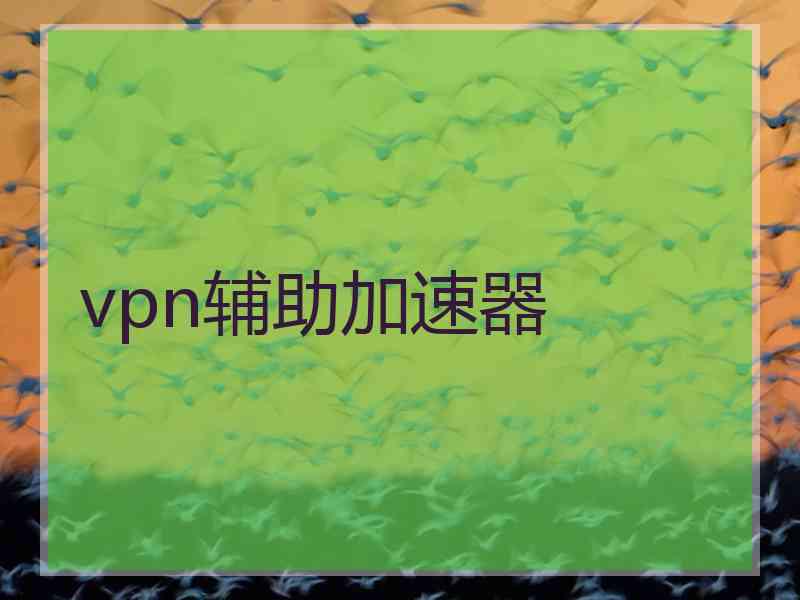 vpn辅助加速器