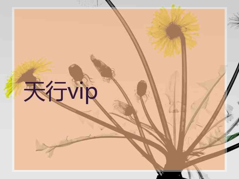 天行vip