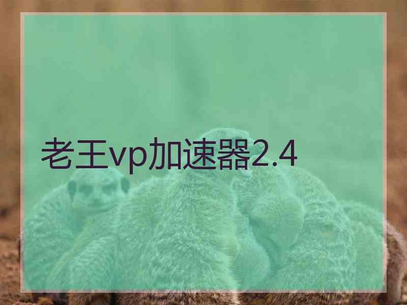 老王vp加速器2.4