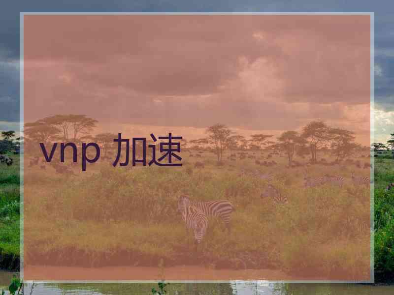 vnp 加速