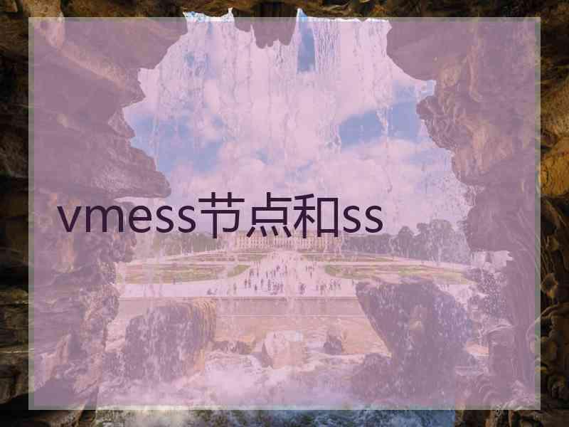 vmess节点和ss