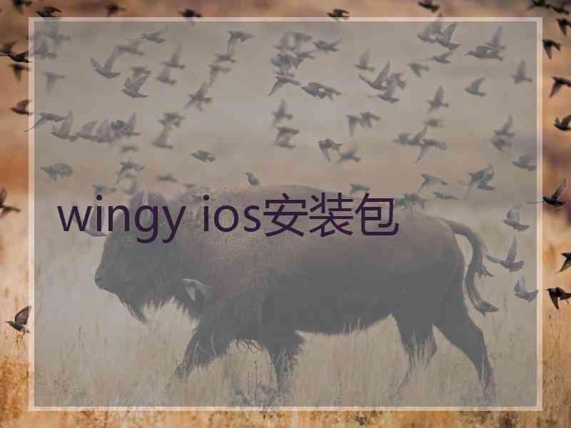 wingy ios安装包