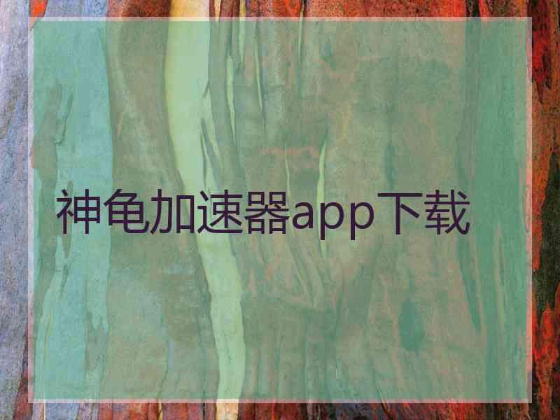 神龟加速器app下载