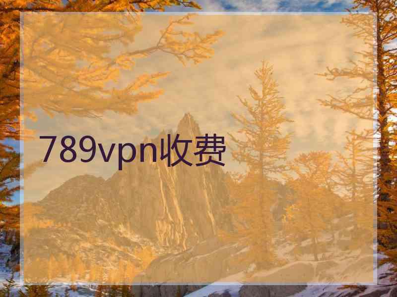 789vpn收费