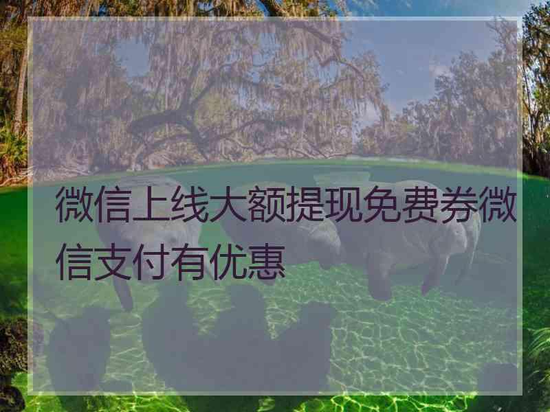 微信上线大额提现免费券微信支付有优惠