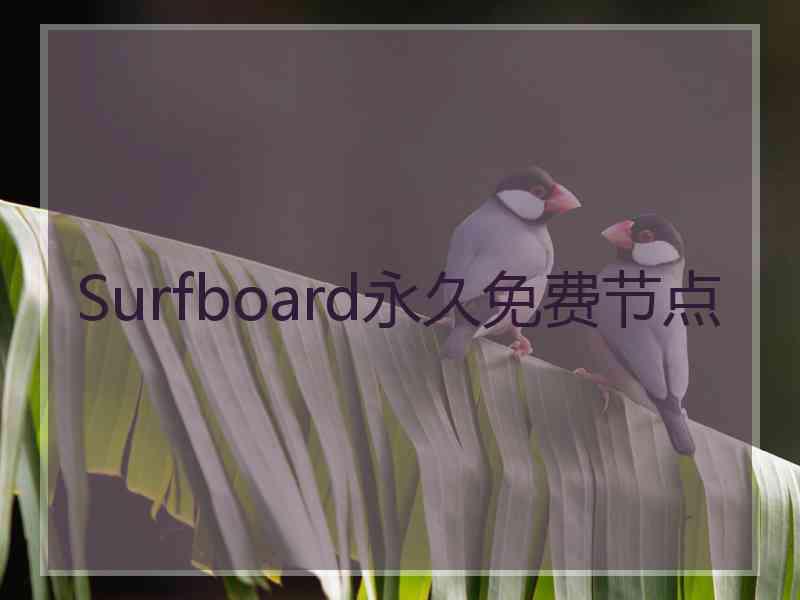 Surfboard永久免费节点