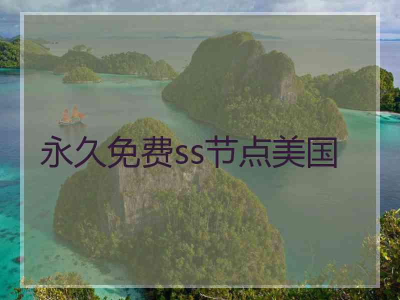 永久免费ss节点美国